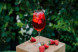 Strawberry Aperol