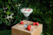 Strawberries in white mousse with mint and cedar nuts