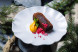 Cherry brownie with sea buckthorn ganache